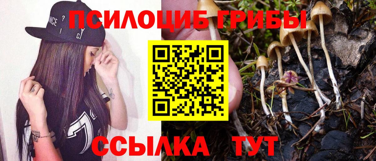 Псилоцибиновые грибы Psilocybine cubensis Лянтор
