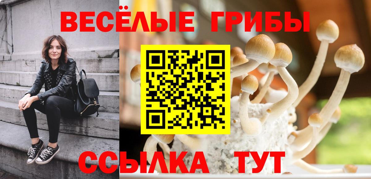 Лянтор  Галлюциногенные грибы прущие грибы  что такое   Вход с VPN 